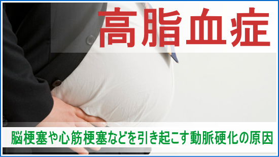 静岡県浜松市の内科小児科 けいクリニックの高脂血症について